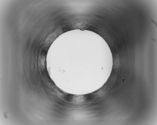 X0000103490334200810101029
