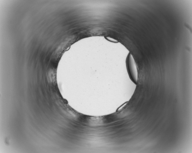 X0000103490335200810101029
