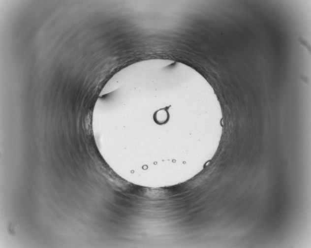 X0000103490336200810101029