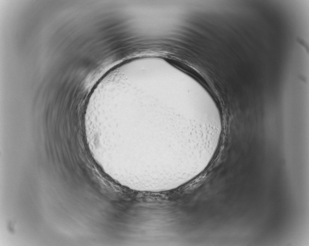X0000103490337200810101028