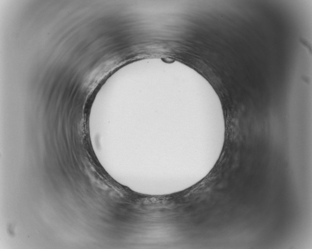 X0000103490338200810101028