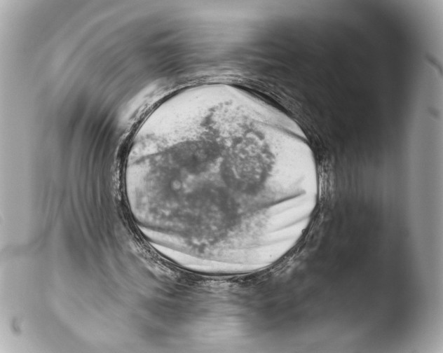 X0000103490339200810101028
