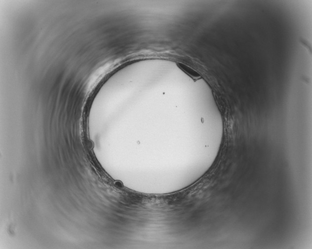 X0000103490340200810101028