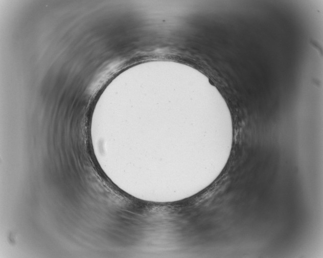 X0000103490341200810101028
