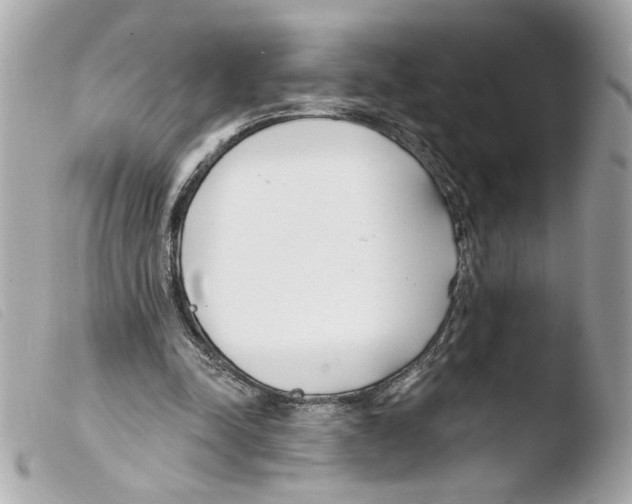 X0000103490342200810101028