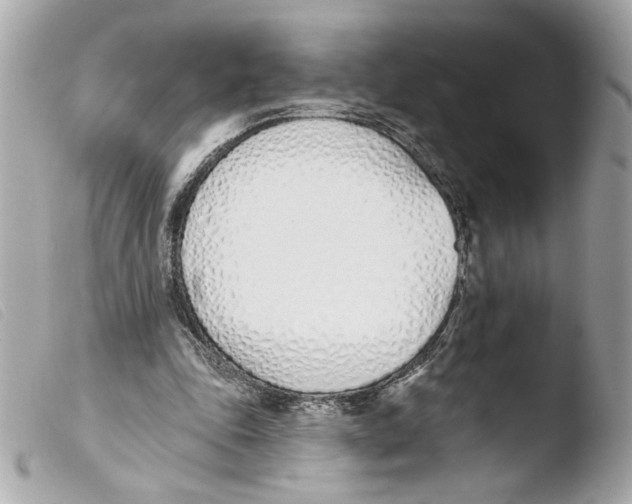 X0000103490343200810101028