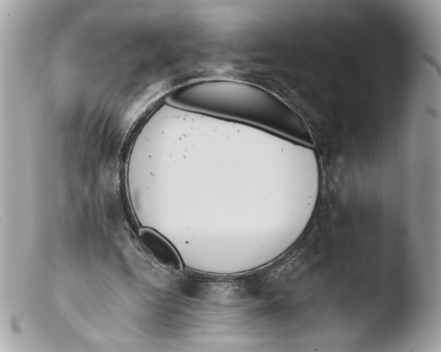 X0000103490344200810101028