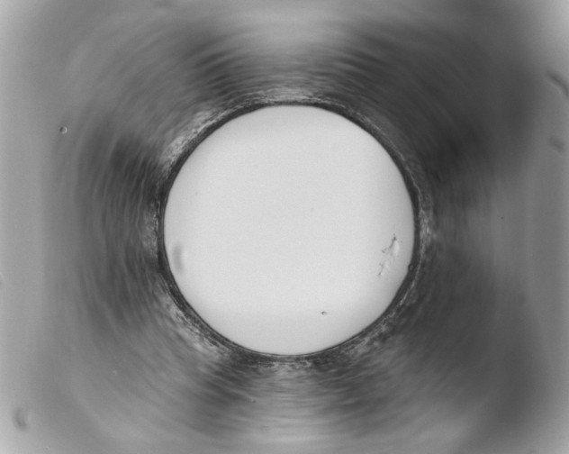 X0000103490345200810101028
