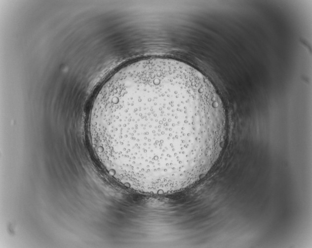 X0000103490346200810101028