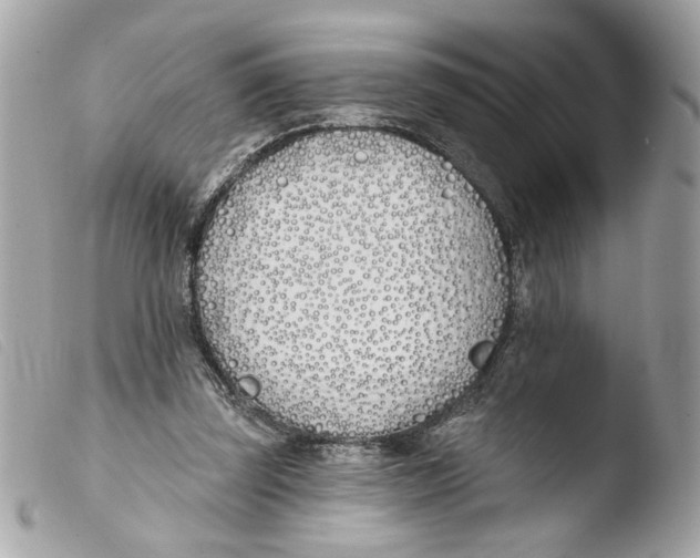 X0000103490347200810101028