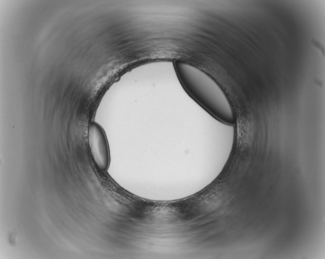 X0000103490348200810101028