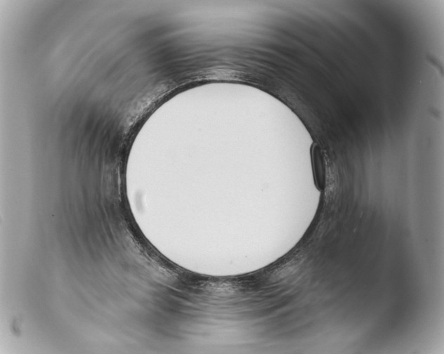 X0000103490349200810101028