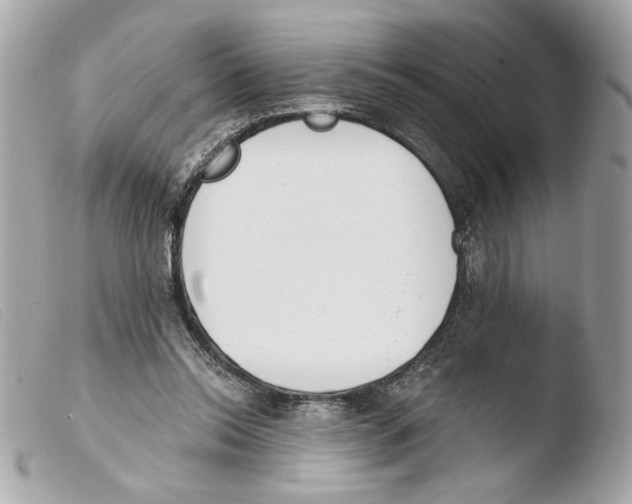 X0000103490350200810101028