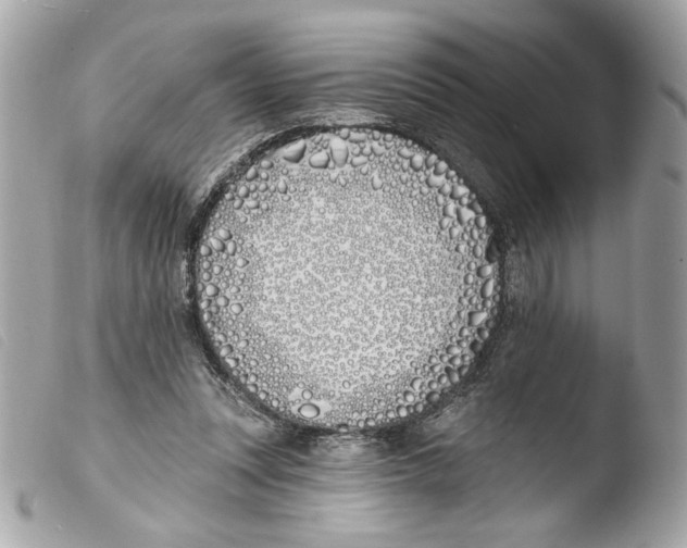 X0000103490351200810101028