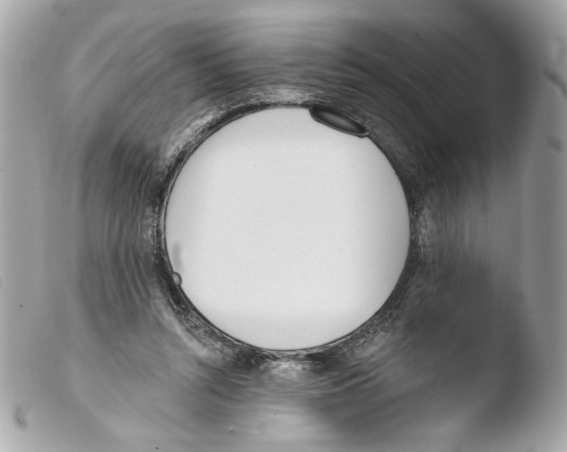 X0000103490352200810101028