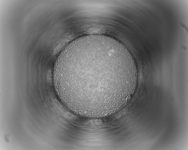 X0000103490353200810101028