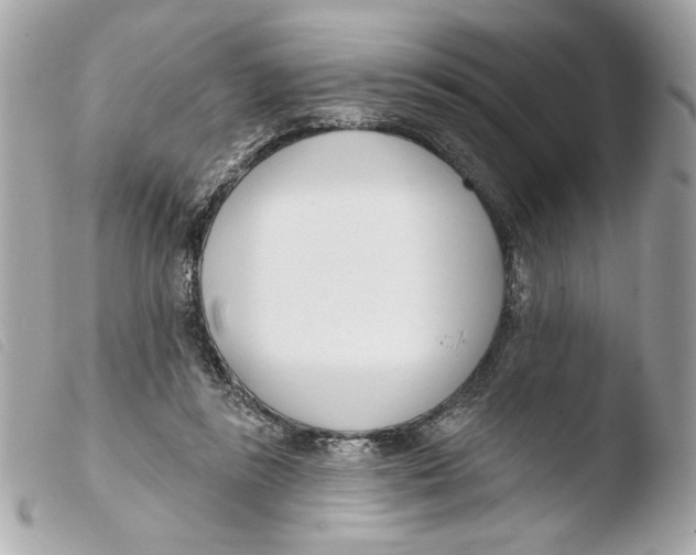 X0000103490355200810101028