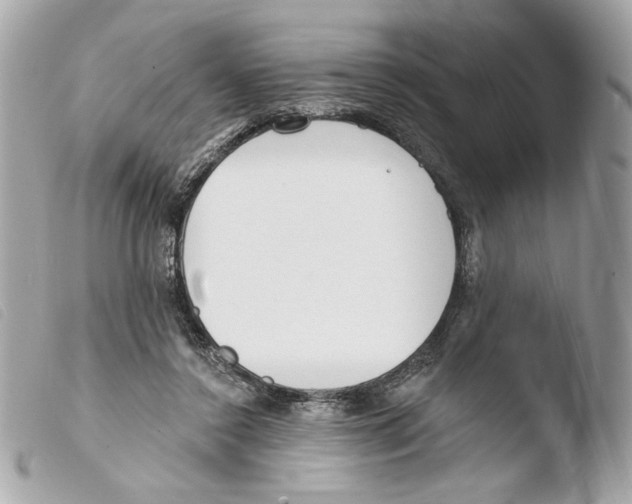 X0000103490356200810101028