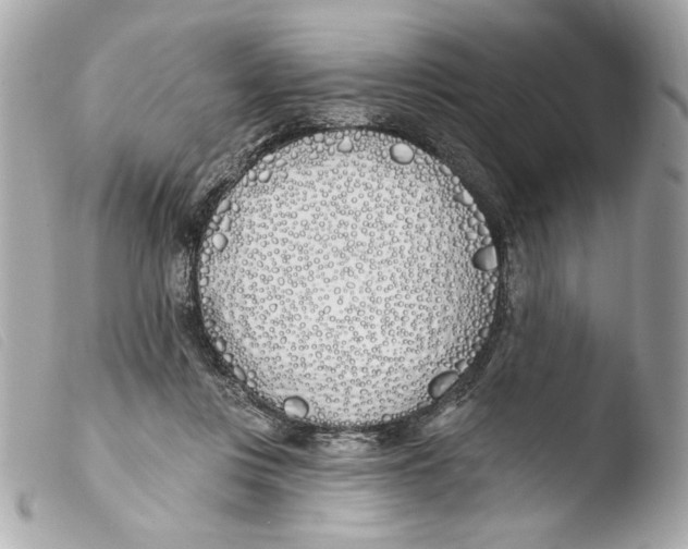 X0000103490359200810101028