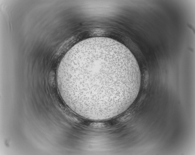 X0000103490361200810101028