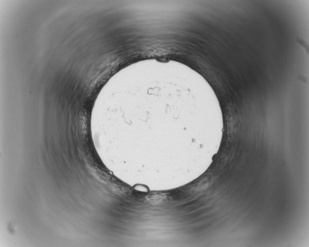X0000103490362200810101028