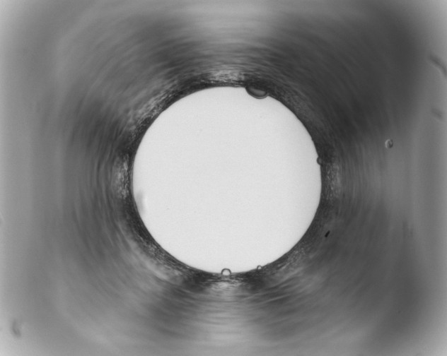 X0000103490364200810101028