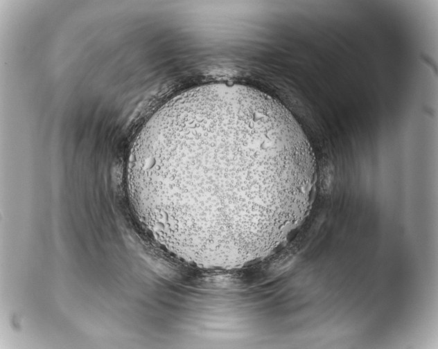 X0000103490365200810101028