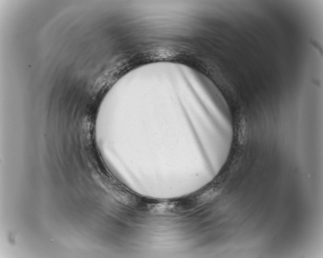 X0000103490366200810101028