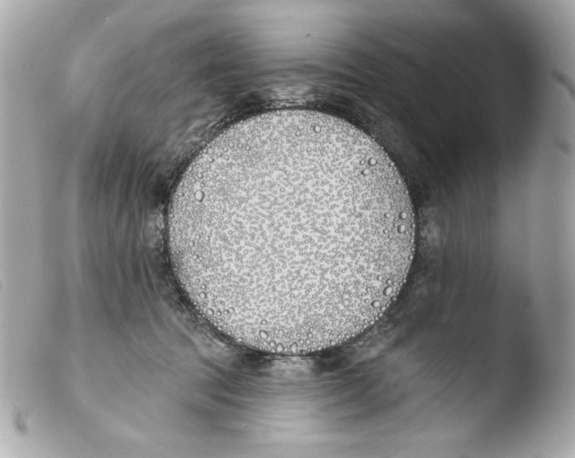 X0000103490369200810101028