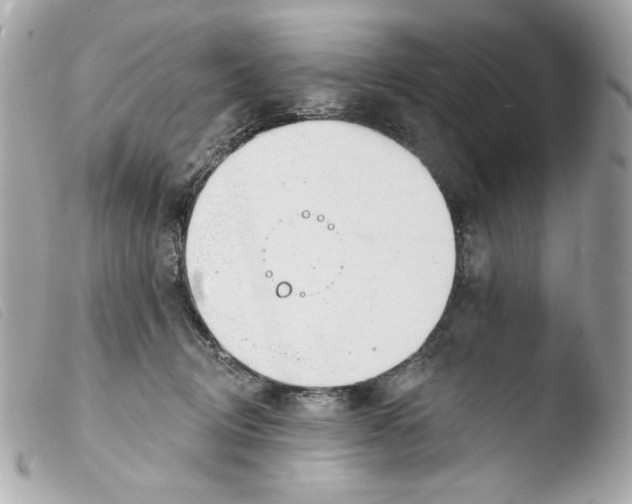 X0000103490370200810101029