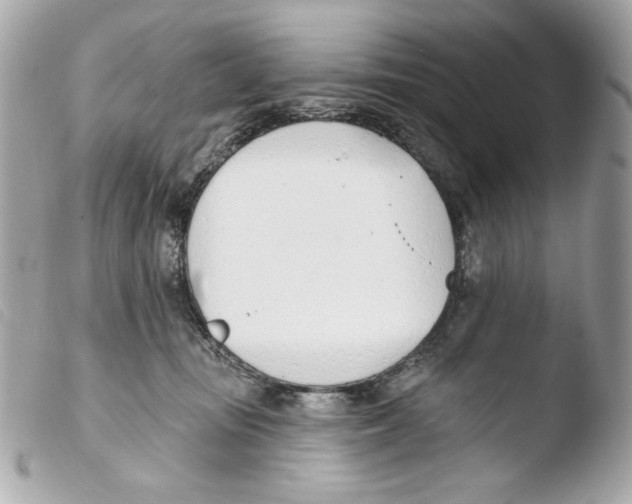 X0000103490371200810101029