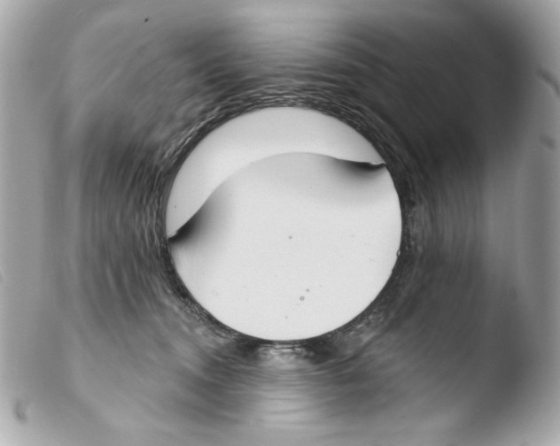 X0000103490372200810101029