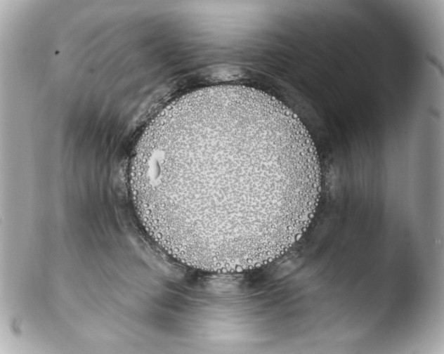 X0000103490373200810101029