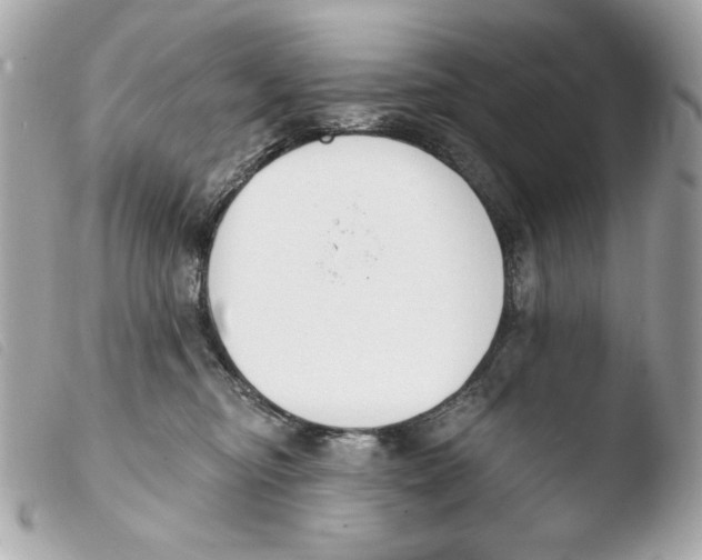 X0000103490374200810101029