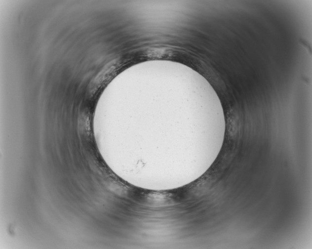 X0000103490375200810101029