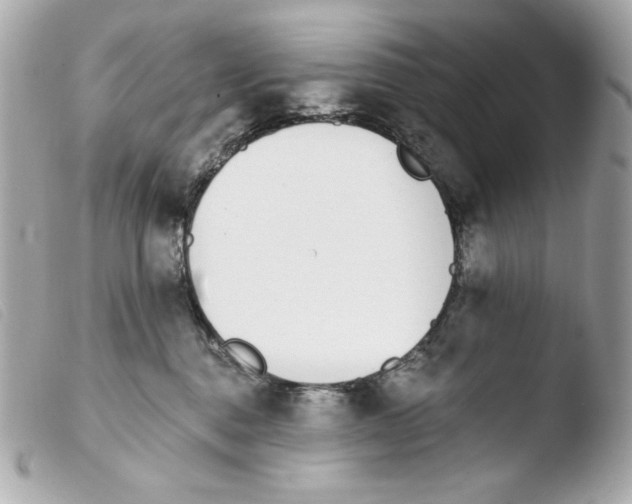 X0000103490376200810101029