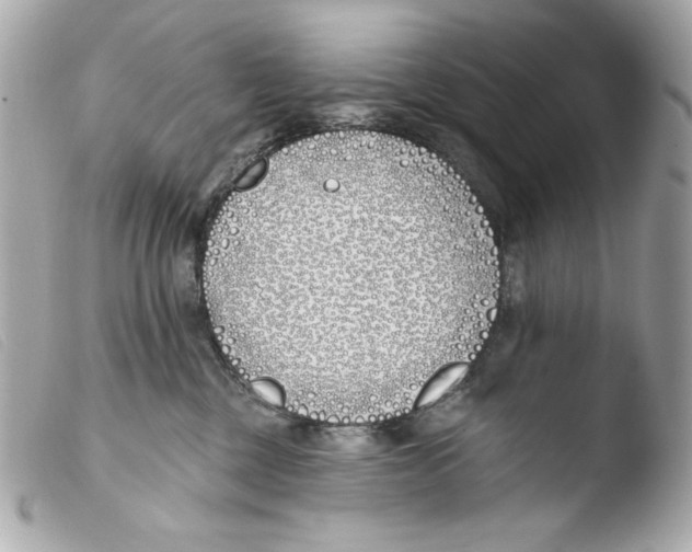 X0000103490377200810101029