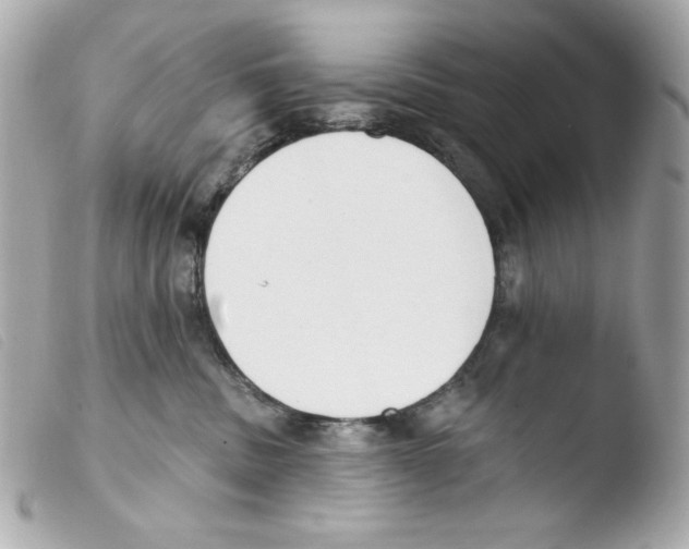 X0000103490379200810101029