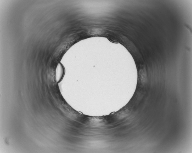X0000103490380200810101029