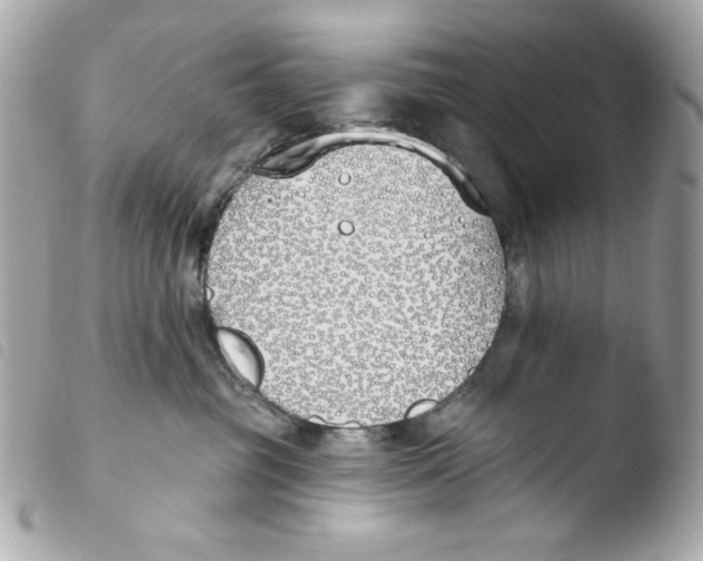 X0000103490381200810101029