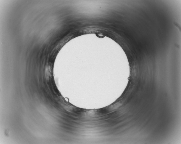 X0000103490382200810101029