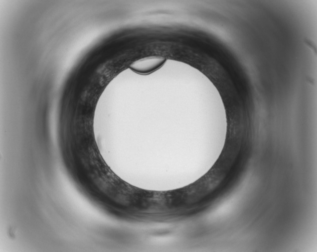 X0000103490383200810101029