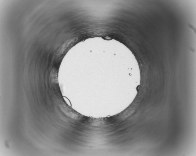 X0000103490384200810101029