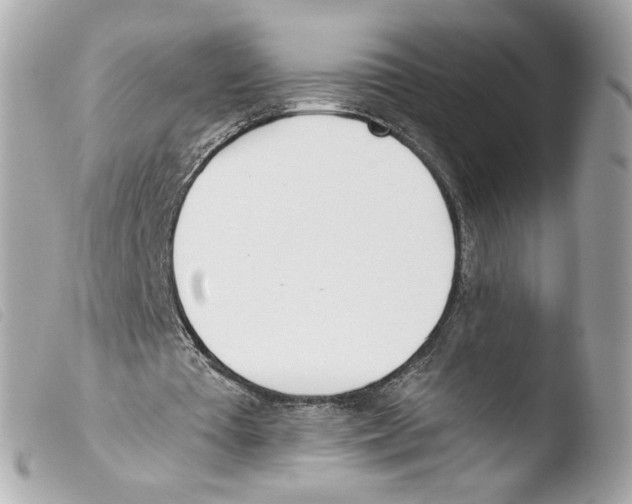 X0000103490385200810101028