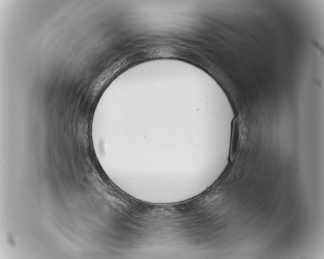 X0000103490386200810101028