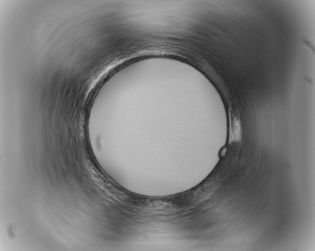 X0000103490387200810101028