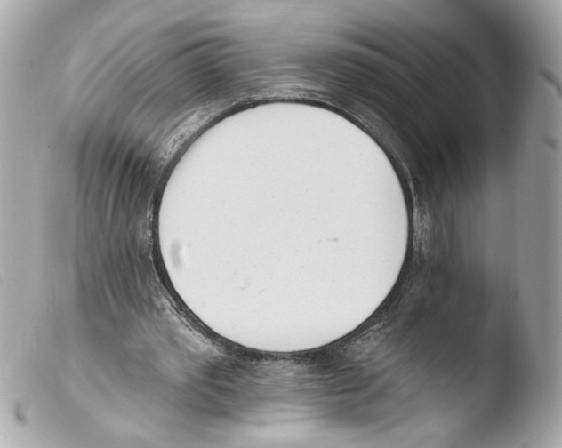 X0000103490389200810101028