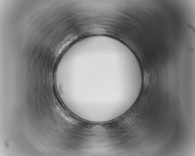 X0000103490390200810101028