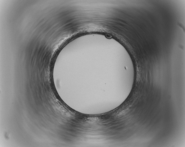 X0000103490391200810101028