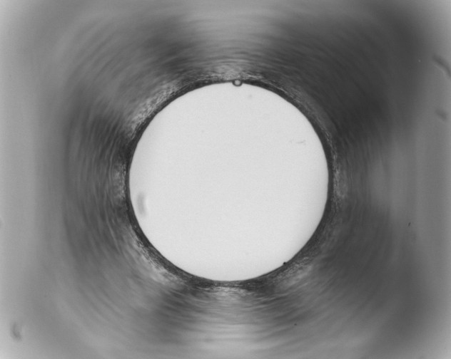X0000103490393200810101028